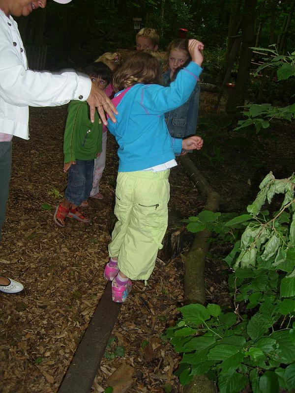 070612 skoalreiske beukers 051.jpg